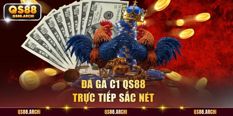 Đá gà C1 QS88 trực tiếp sắc nét