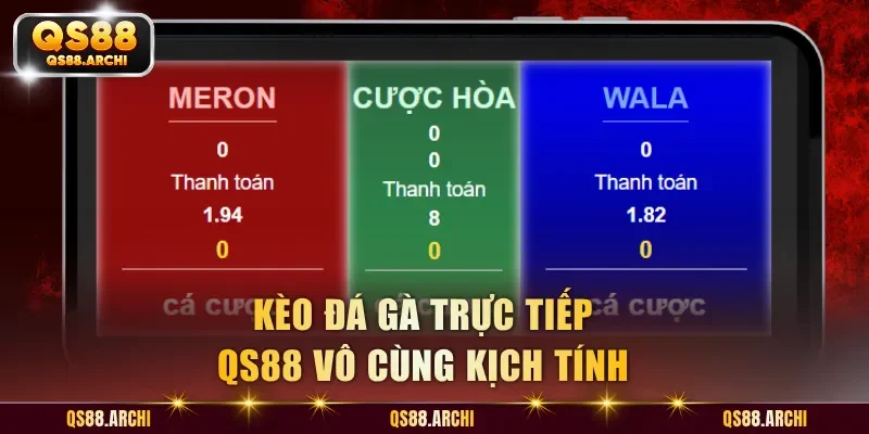 Kèo đá gà trực tiếp QS88 vô cùng kịch tính
